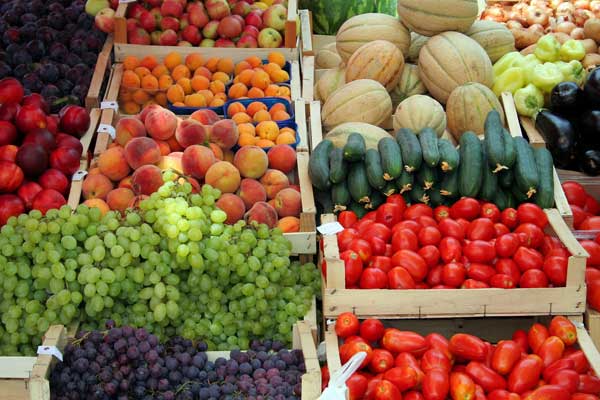 Development of agriculture in Uzbekistan during the Years of Independence 1 development_agriculture