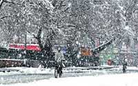 12snowfall