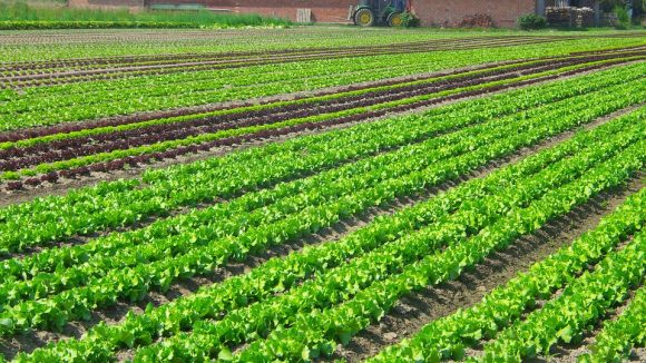PM Dhan Dhanya Krishi Yojana