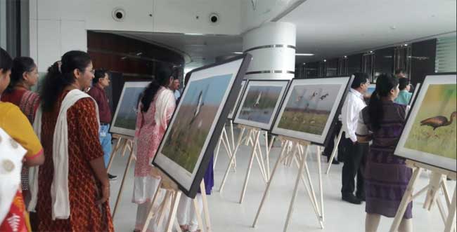 ONGC celebrates World Wetlands Day with a week-long Photo Exhibition on Chilika Lake 1
