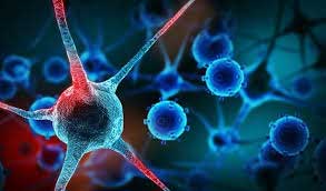 Scientists in Sweden find new tool to fight cancer 1 15cancer