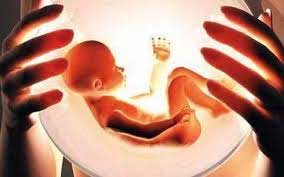 Cabinet approves amendments to Surrogacy Bill 1 21surrogecy