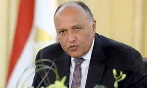 India must play more active role in Middle East: Egypt 1 23egyptian fm