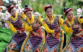 Cultural Festival of Tibet kicks off 1 03tibet function