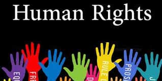 US human rights report criticises violations in India by both government, terrorists 1 21human rights