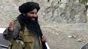 Pakistan Taliban chief killed in US drone strike: Report 1 15taliban chief
