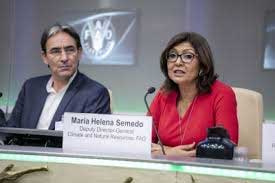 FAO urges nations across world to support agroforestry 1 21fao