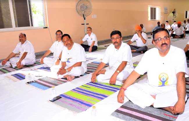 NHPC celebrates 5th International Day of Yoga 1 22nhpc yoga day