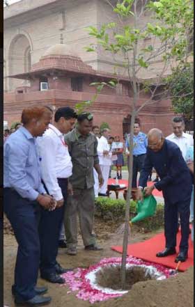 PRESIDENT OF INDIA LAUNCHES TREE PLANTATION DRIVE AT RASHTRAPATI BHAVAN 1 20pres plantation