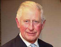 Prince Charles declared COVID-19 positive 1 25prince cherles
