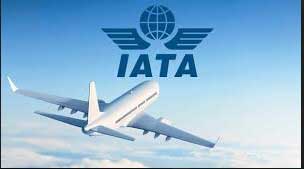 IATA: Global air freight demand faces worst year since 2009 1 08iata