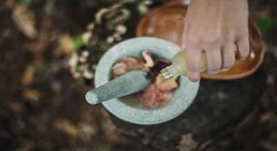 Ayurvedic drug can help kidney recovery: Study 7 30ayurvedic