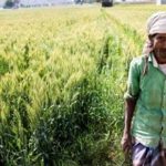 Cabinet approves Rs 37,216 crore subsidy for fertilizers to help farmers in Kharif season