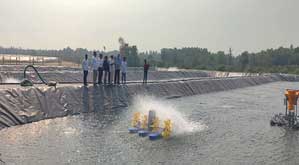 shrimp farm