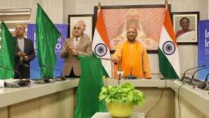 yogi launch