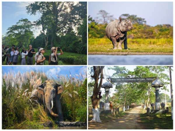 kaziranga park
