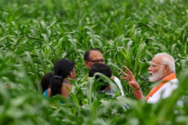 modi farmer