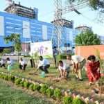 ntpc plantation1