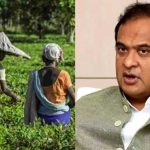 Tea from Assam's Attabarie wins global recognition in championship at Las Vegas: CM Sarma