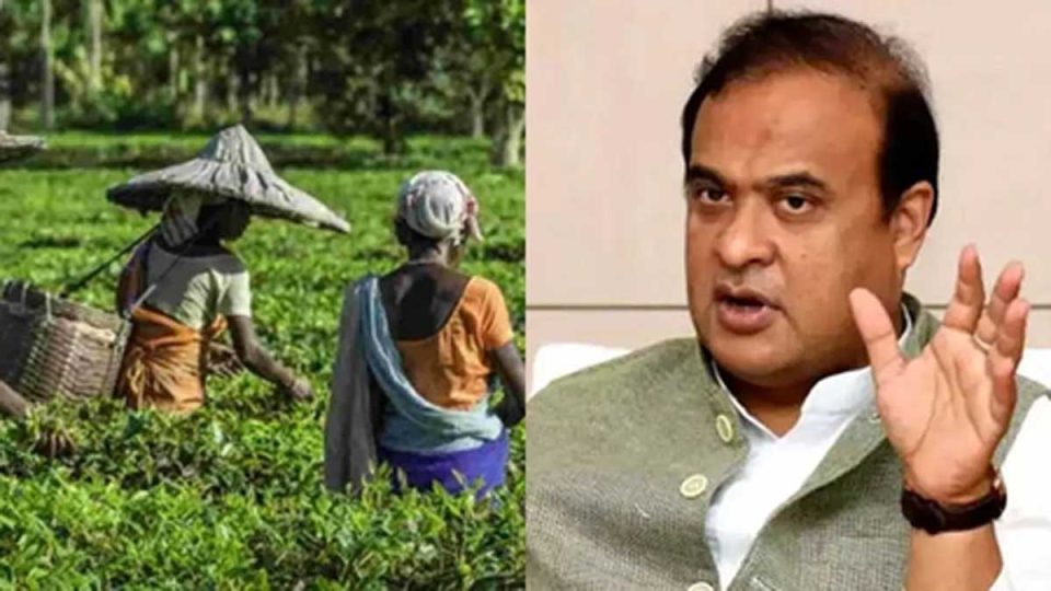 Tea from Assam's Attabarie wins global recognition in championship at Las Vegas: CM Sarma
