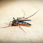 Cambodia on verge of achieving malaria-free goal