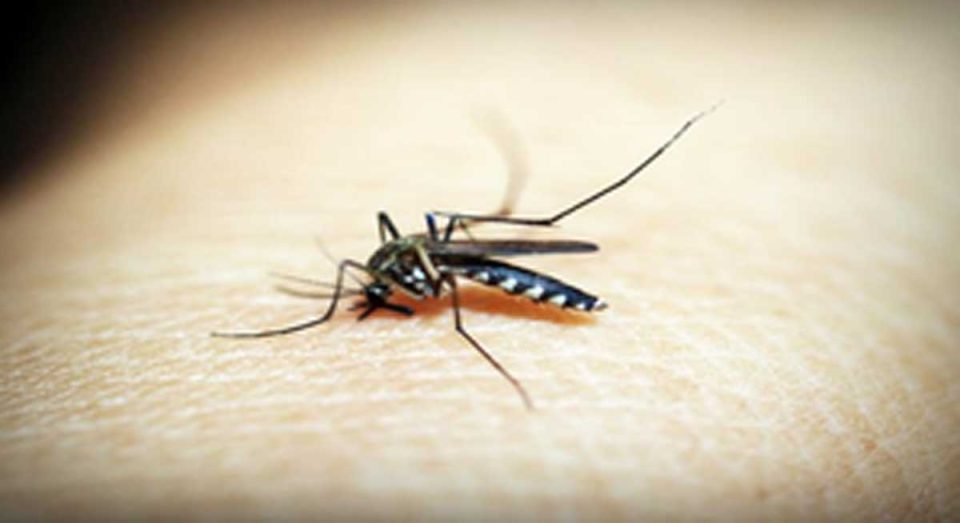 Cambodia on verge of achieving malaria-free goal