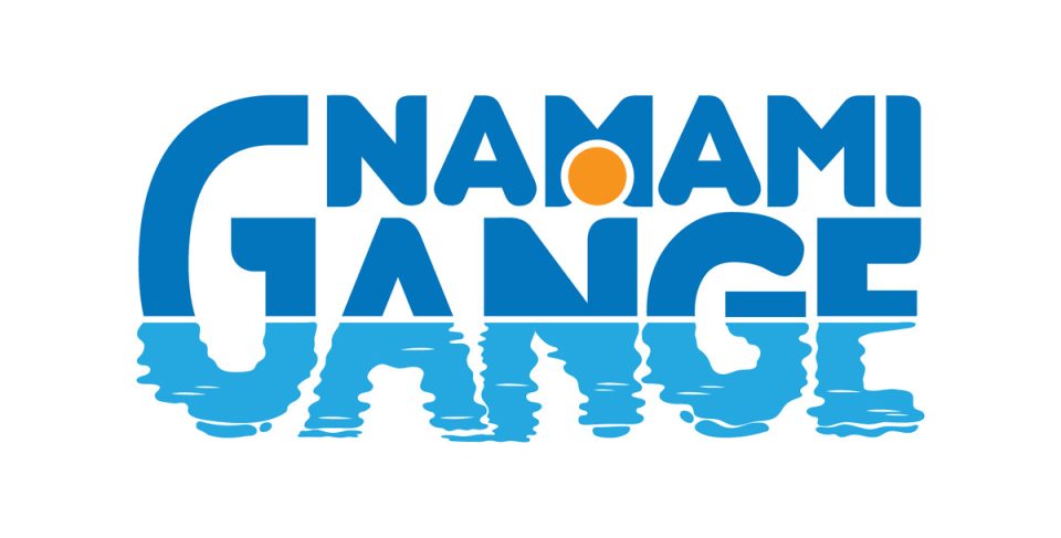 63rd NMCG Meeting: Approval of Important Projects for Environmental Flow in the Ganga's Tributaries