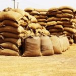 India allocates excess rice for ethanol production to boost petrol blending drive