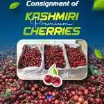 1st commercial consignment of premium cherries heads to Saudi Arabia, UAE: Piyush Goyal 6 1st commercial consignment of premium cherries heads to Saudi Arabia, UAE: Piyush Goyal