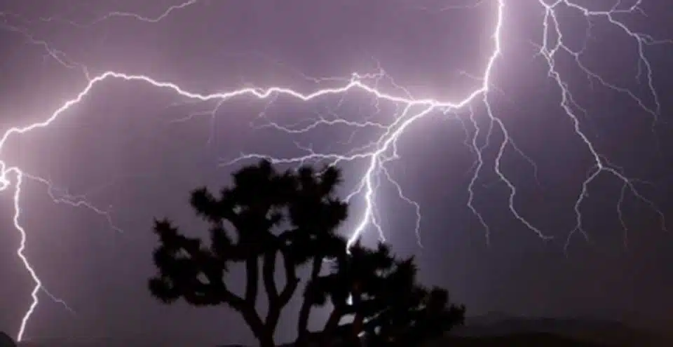 Yellow alert for two days in Delhi-NCR