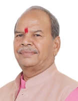 Bharatsinhji Shankarji Dabhi