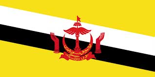 Brunei Darussalam 1 Brunei Darussalam flag