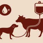 India Releases First-Ever National Guidelines/SOPs for Animal Blood Transfusion and Blood Banks 11 ndia Releases First-Ever National Guidelines/SOPs for Animal Blood Transfusion and Blood Banks