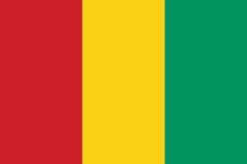Guinea 1 guenia flag