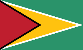 Guyana 4 guyana flag