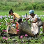 Cabinet approves Rs 4,250 crore to strengthen infrastructure and empower Adivasi and Dimasa communities in Assam and Tripura'