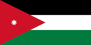 Jordan 6 jordan flag