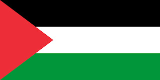 Palestine 12 palestine flag