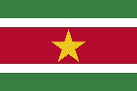 Suriname 1 suriname flag