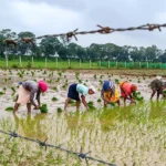 AI-based weather forecasting: Govt sent monsoon forecasts to 3.8 crore farmers this year 16 India Eyes 18,000 MW Power Generation Potential from Agricultural Residues