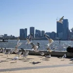 Climate Change Linked to Nearly 100,000 Deaths from 2023 Heatwaves: Global Study 13 Climate Change Linked to Nearly 100,000 Deaths from 2023 Heatwaves: Global Study