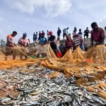 India-UK Trade Deal to Enhance Seafood Exports, Confirms MPEDA 12 India-UK Trade Deal to Enhance Seafood Exports, Confirms MPEDA