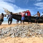 World Fisheries Day: India Showcases Focus on Sustainability, Livelihoods and Blue Economy Growth 12 World Fisheries Day: India highlights sustainability, livelihoods, Blue Economy growth