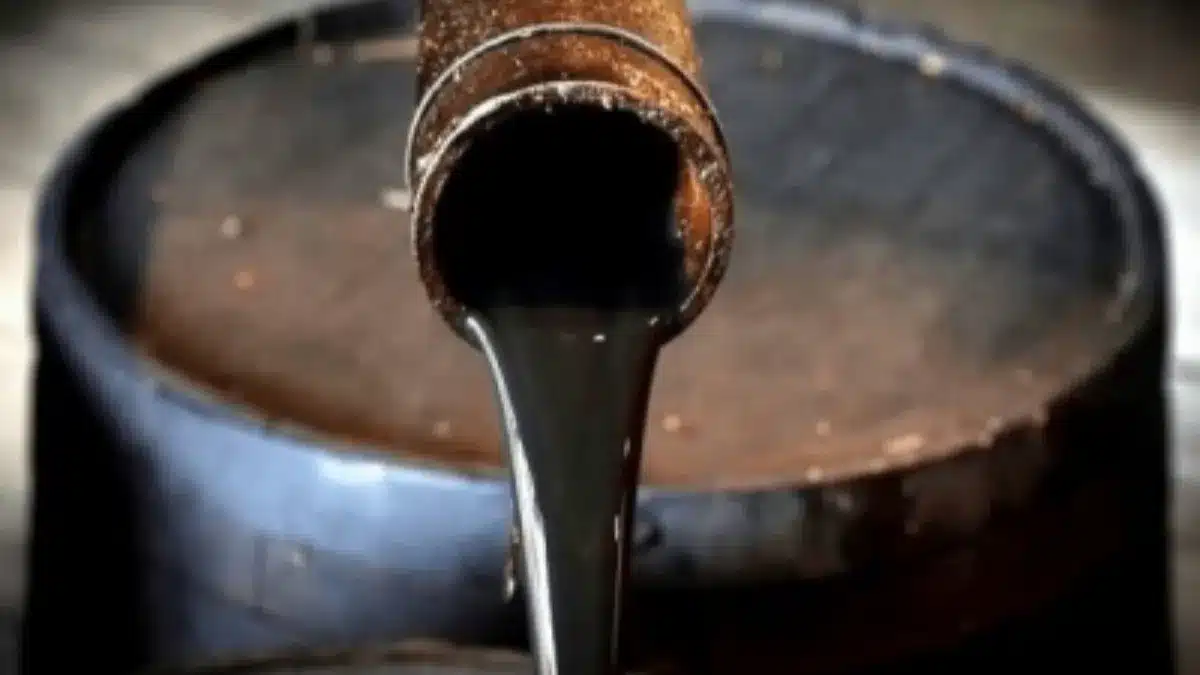 feature news 546 India to Maintain Russian Oil Imports After US Waiver Expiry
