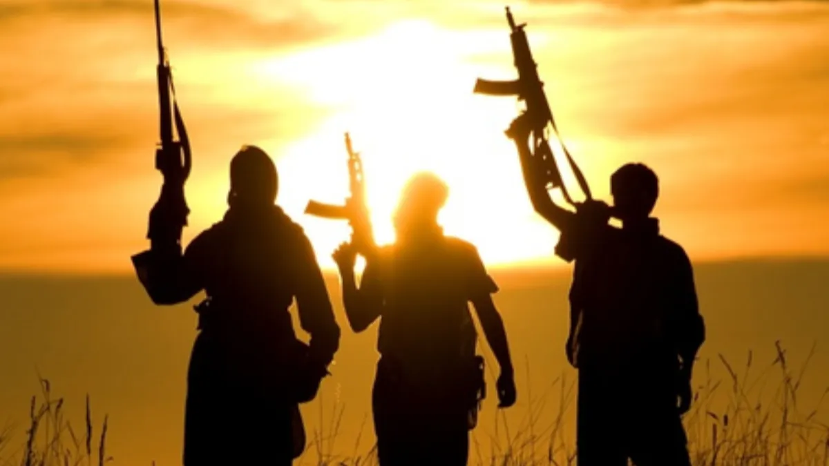 feature news 584 terrorist